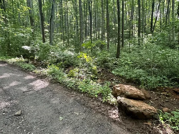 0 Burnt Leaf Ln, Hayesville, NC 28904