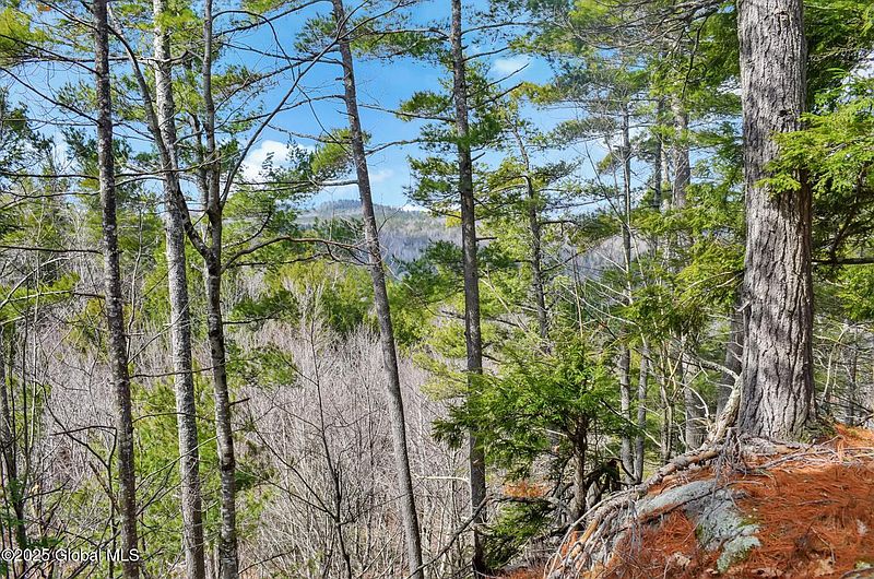 5th image of L18 Mountain Meadows Road
