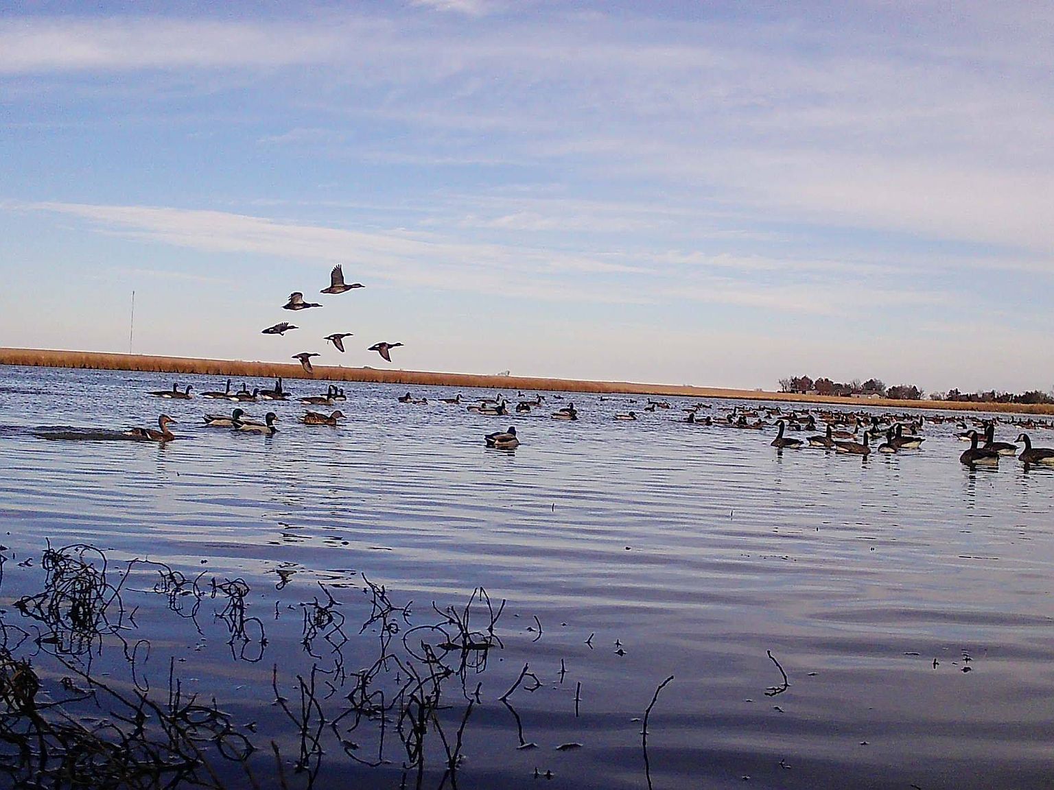 0 Road 200, Emporia, KS 66801 MLS 11169155 Zillow