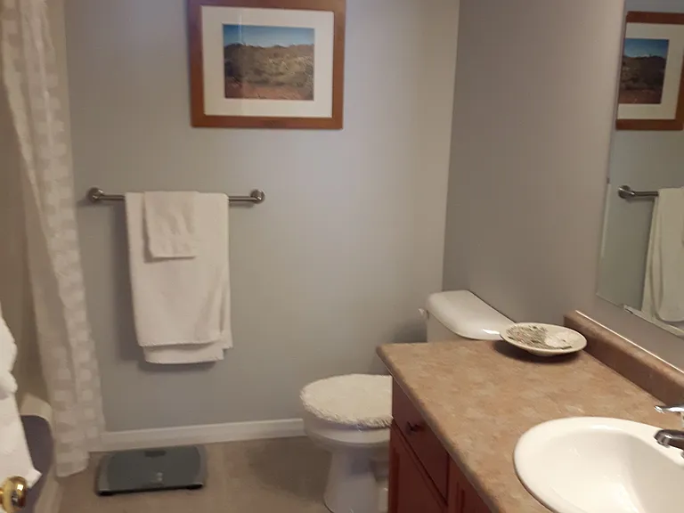 565 Wild Iris Ave — Photo 7