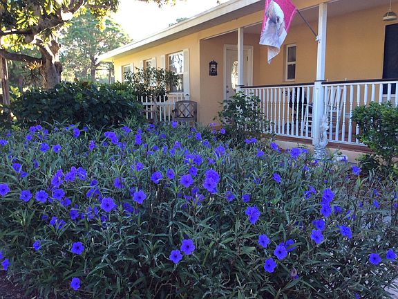 Beautiful front landscaping