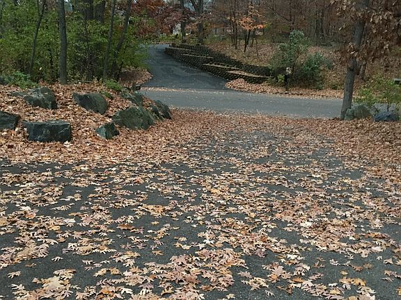 5th image of 6048 Foxtail Dr