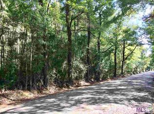 35524 Perkins Rd, Walker, LA 70706