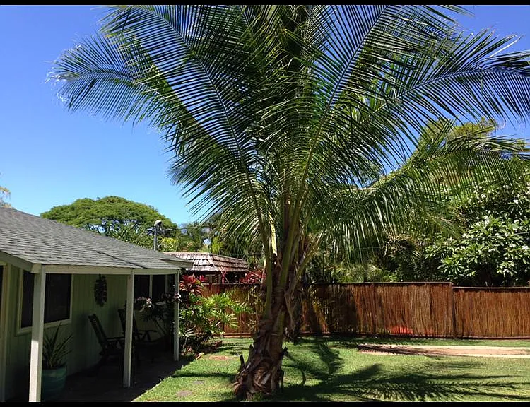 160A Haokea Dr #A — Photo 3