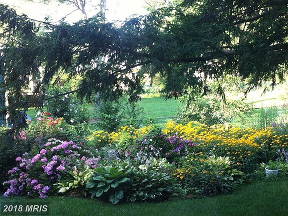 Summertime in the rear garden: gorgeous!