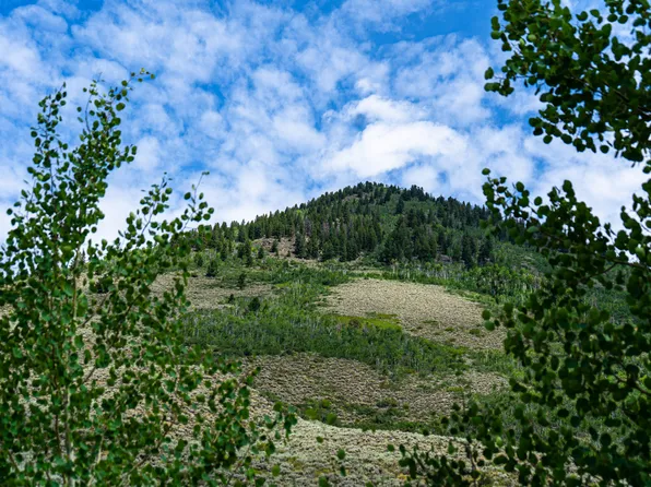 0 Round Mountain Rd, Almont, CO 81210