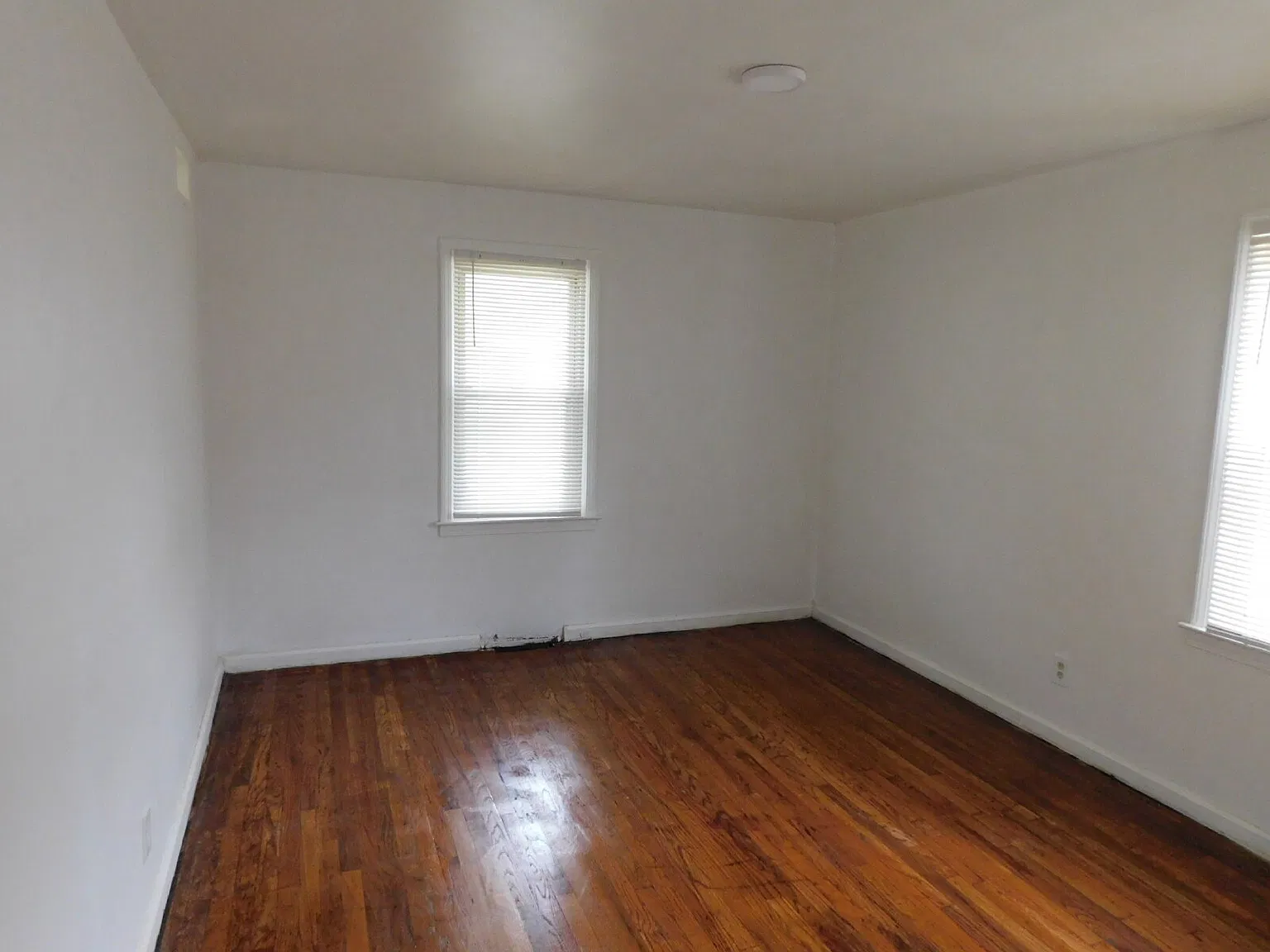 2 bed, 1.0 bath, 800 sqft, $995 — Photo 3