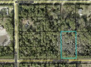 5414 Mulberry Ln #9, Bunnell, FL 32110