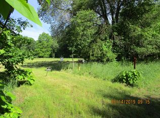 1201 Pleasant St, Albion, MI 49224