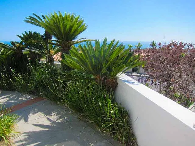 2129 Entrada Paraiso — Photo 2