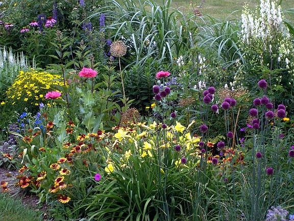 Summer Garden