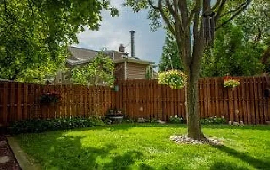 Berdan St — Photo 2