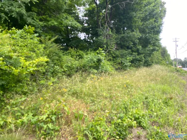 16 State Highway 227, Guntersville, AL 35976