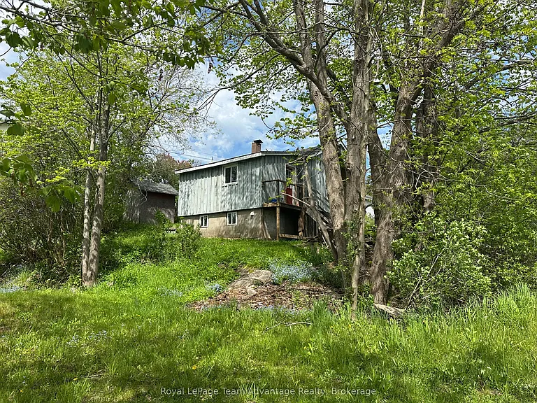41 Emily St — Photo 18