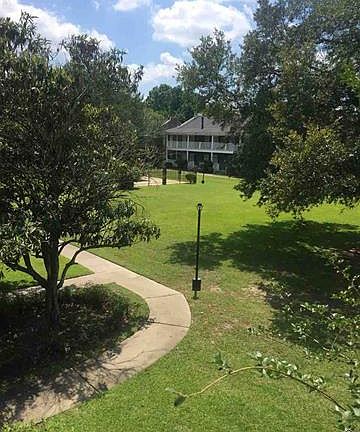 Lots of play and walk area.