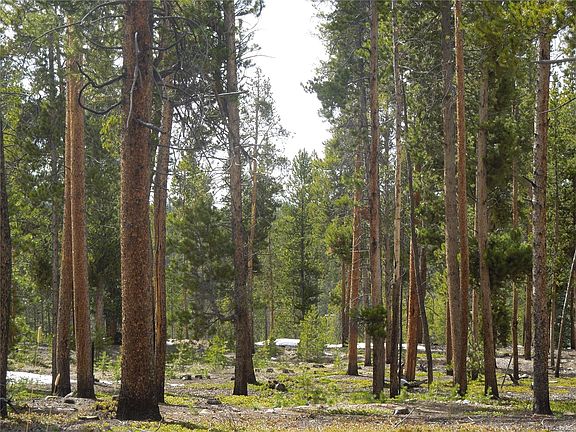 4th image of 8 Elk Trl