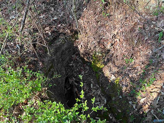 4th image of 1 & Point #Of-2