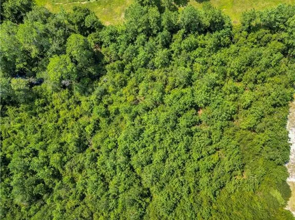 TRACT 2 Bay Rd, Blackshear, GA 31516