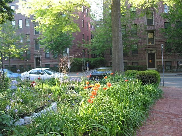 Linnaean View Across Street