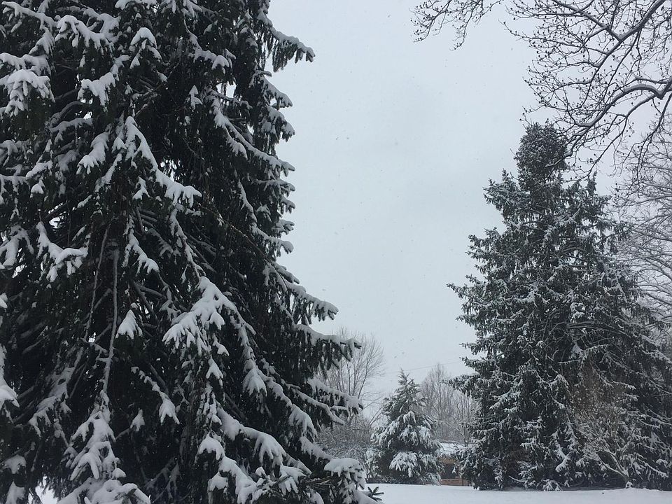 1973 Jacks Shop Rd, Rochelle, VA 22738 Zillow