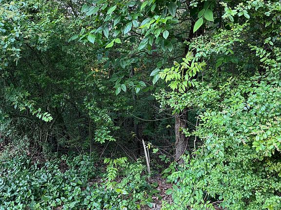 2nd image of 0 Wellington Way SE