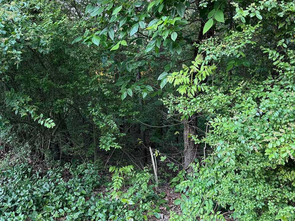 2nd image of 0 Wellington Way SE