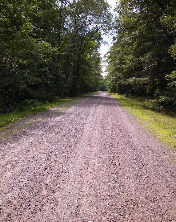 2nd image of Xxx Bass Lake Lane McKinley Twp