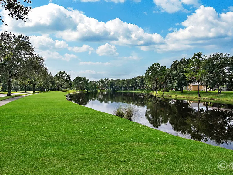 15807 Fishhawk Falls Dr — Photo 28