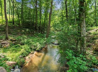 10 & 11 Wyeth Dr, Guntersville, AL 35976