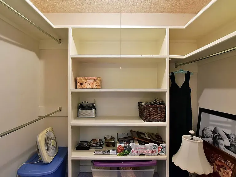walk in closet in master bedroom