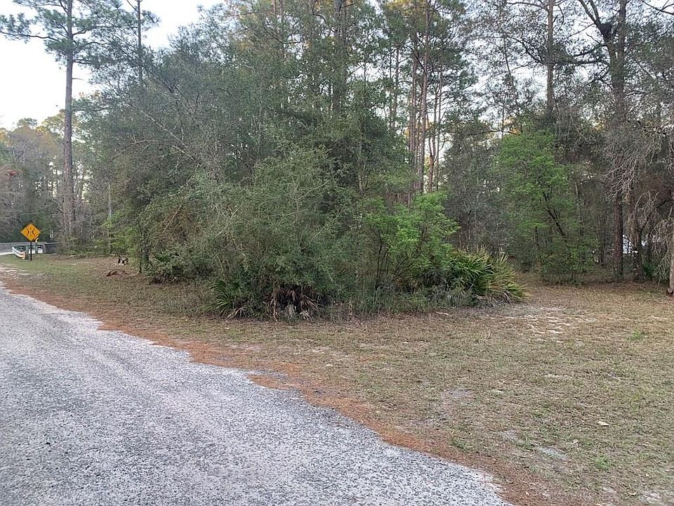 1st image of 11 Buckhorn Creek Rd