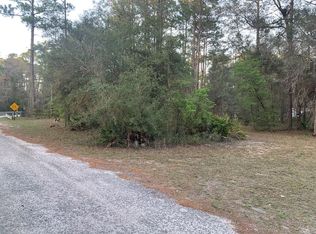 11 Buckhorn Creek Rd, Sopchoppy, FL 32358