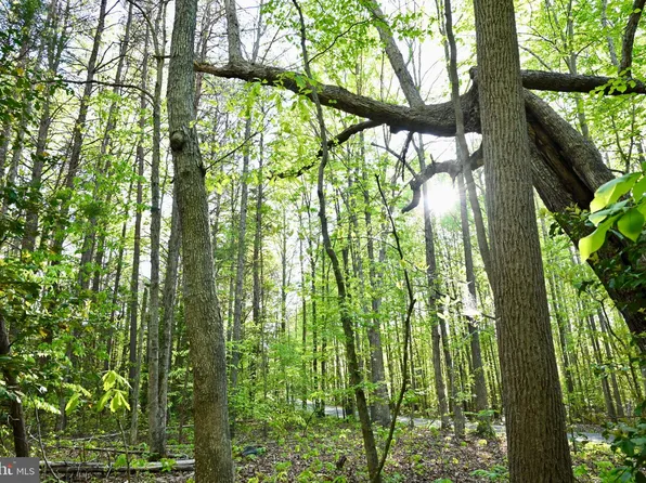 Apple Grove Rd, Mineral, VA 23117