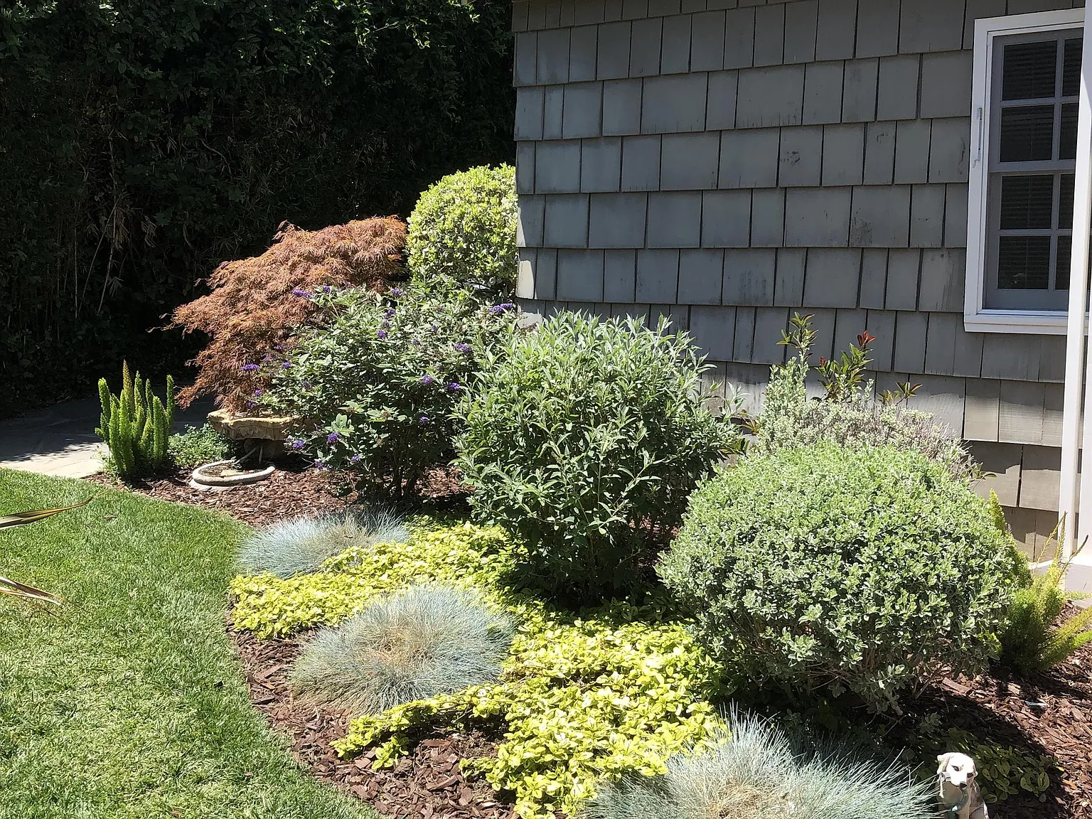 1051 Cherry Avenue - 1 — Photo 2