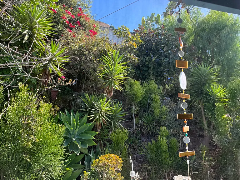 view of backyard