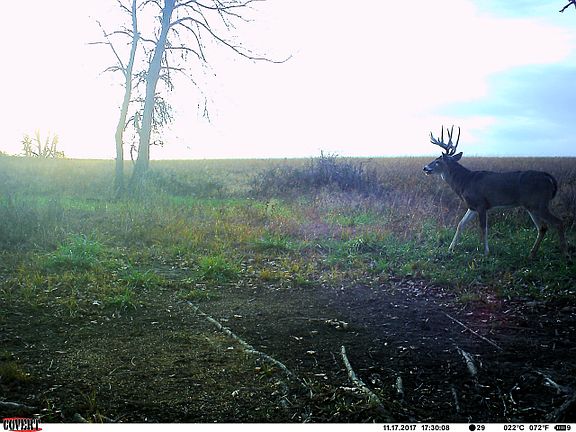 4th image of 240TH St. Greenwood County