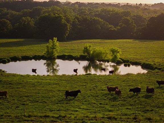 2nd image of 30497 Gypsum Rd