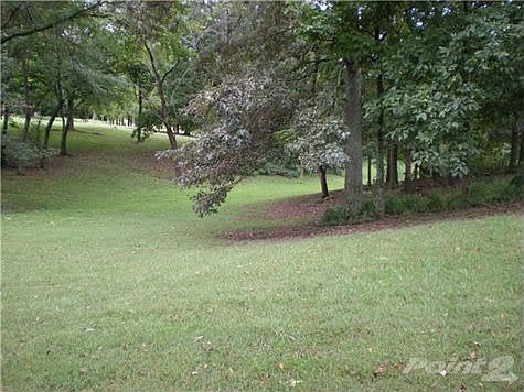 Backyard with lots of character....