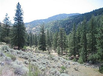 3rd image of 0 Toats Coulee Rd
