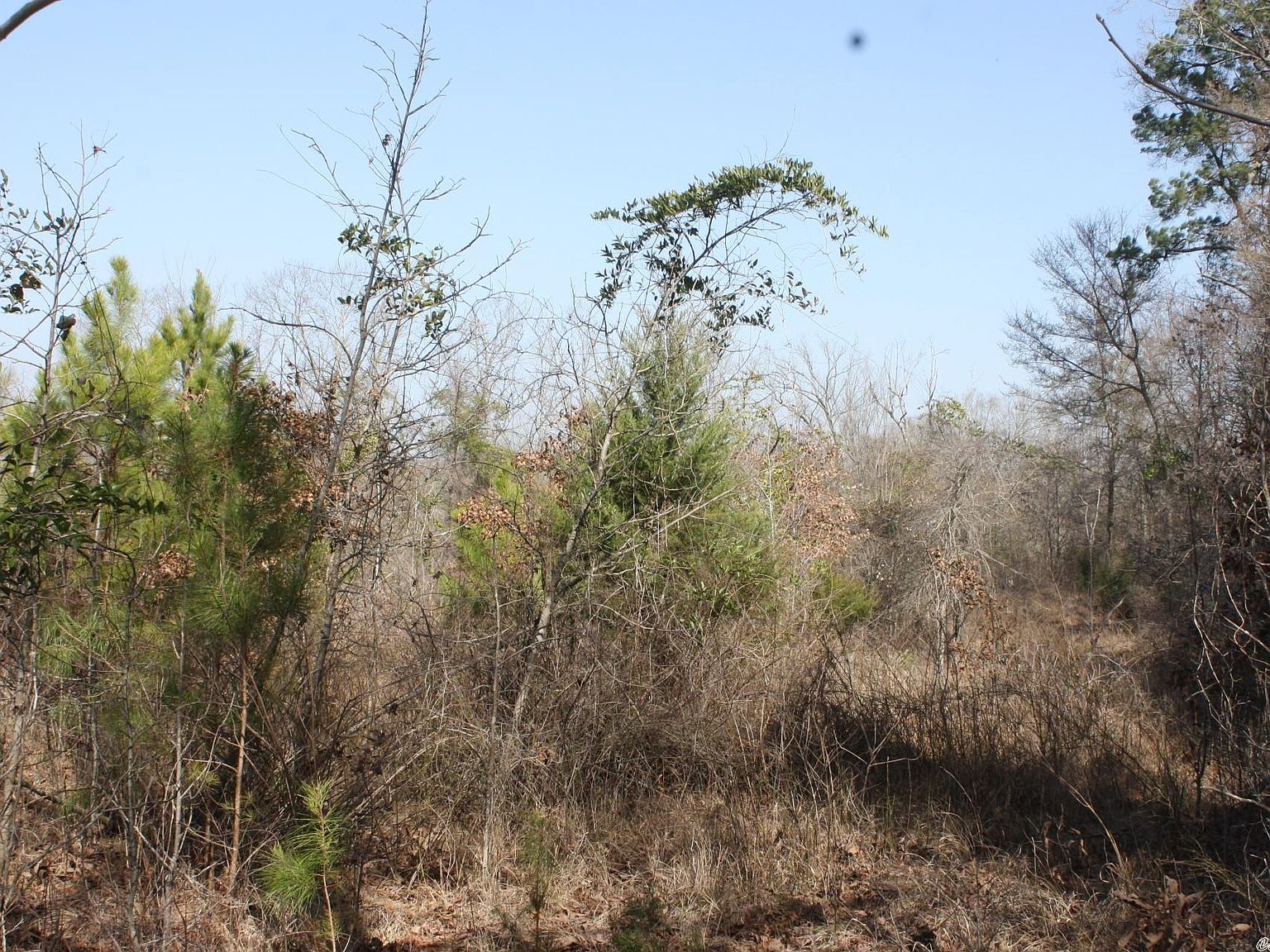 Cherry Springs Rd, Dierks, AR 71833 Zillow