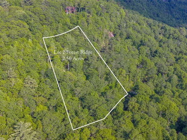LT Forest Ridge, Cashiers, NC 28717