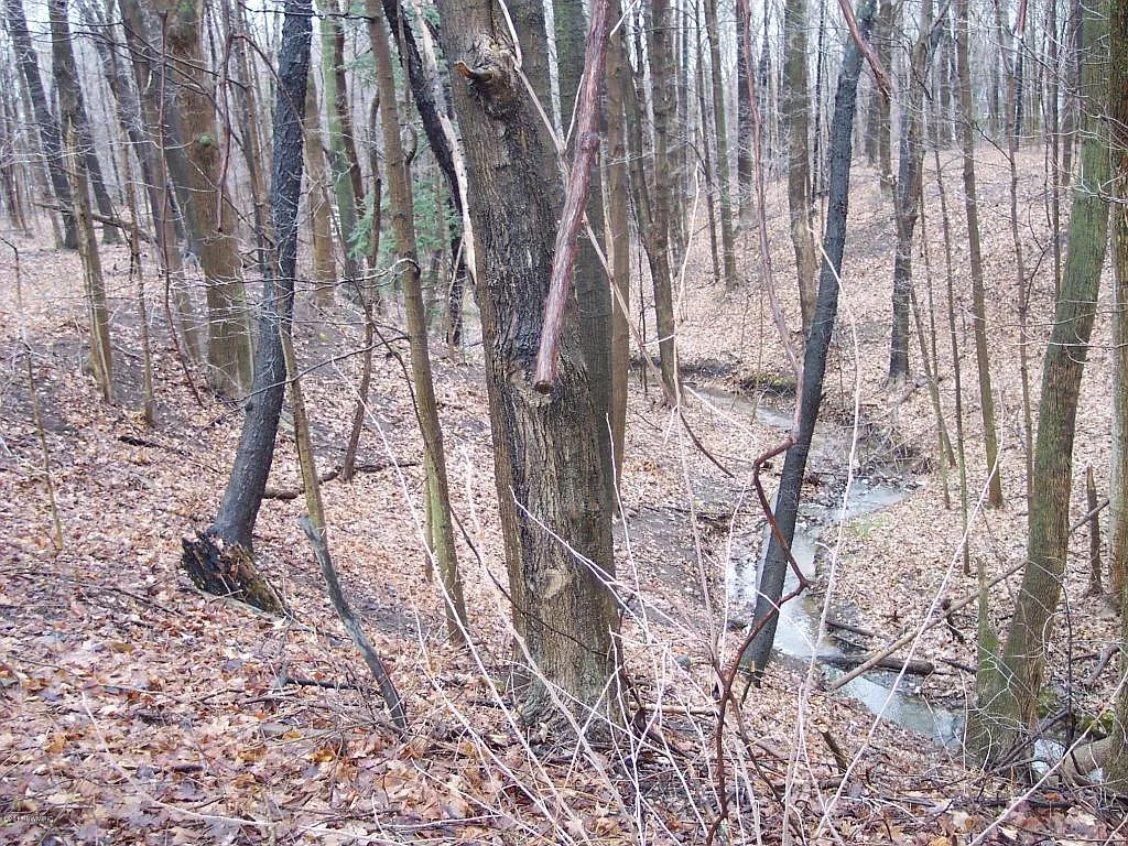 13282 M 140 photo 1