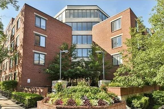 1st image of 87 Brainerd Rd #503