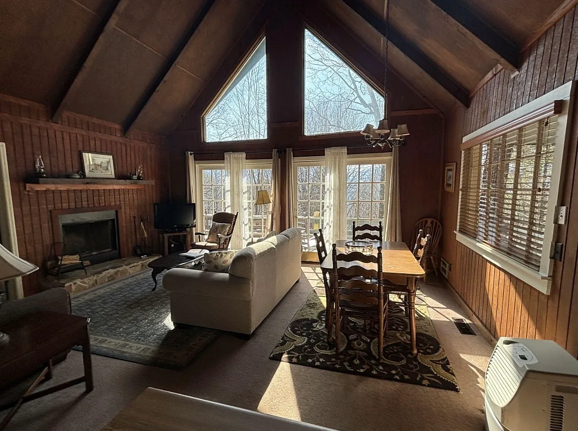 490 Chalet Village Ln — Photo 3