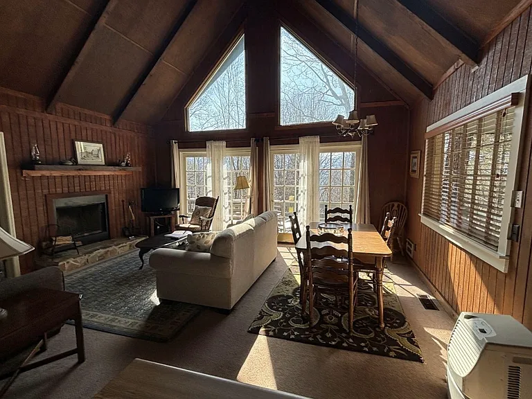 490 Chalet Village Ln — Photo 3