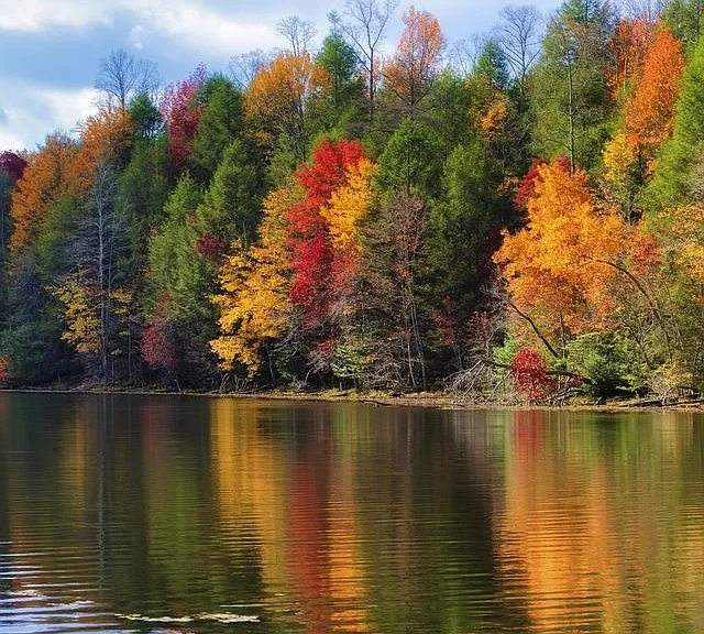 fall at olde montgomery apartments