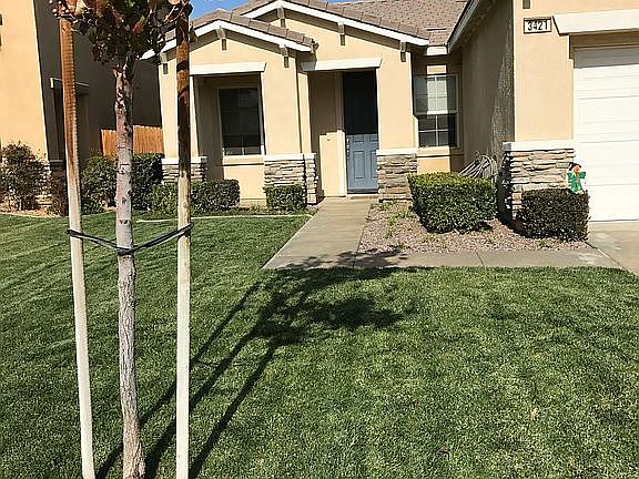 front yard