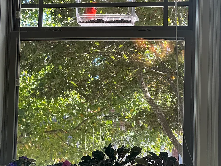 19 Wild Eve Way — Photo 48