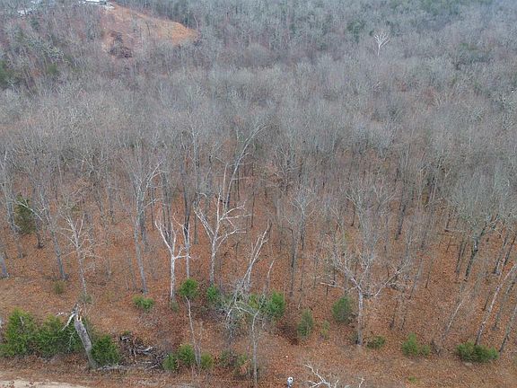 2nd image of 0 County Road 502