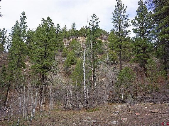 3rd image of 6 TBD Road T.7